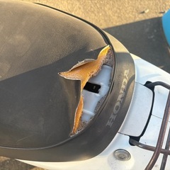 ホンダライブディオAF34 　の画像