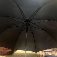 中古　女性用　傘　黒の画像