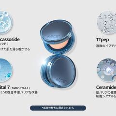 ASCEplus サンシャインクッションプロの画像