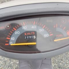 ホンダ AF27 Dio No65の画像