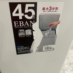 ペダル式　ゴミ箱　ダストボックス　45L×2の画像