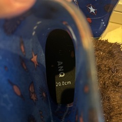 サイズアウト！20センチの長靴の画像