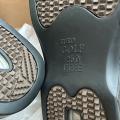 ゴルフシューズの画像