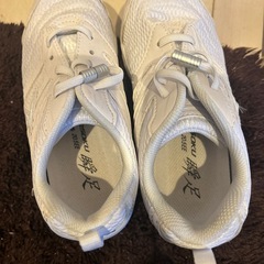 20.5センチ瞬足のシューズの画像