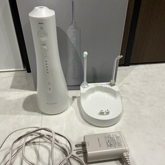 パナソニック ジェットウォッシャー Doltz 超音波水流EW-DJ53の画像