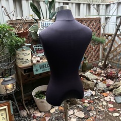 トルソーの画像