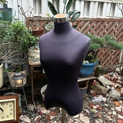 トルソーの画像