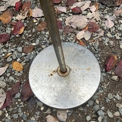 トルソーの画像