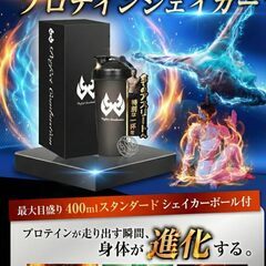 プロテインシェイカーボトル 400mlの画像