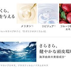 KAMIKA クリームシャンプーの画像