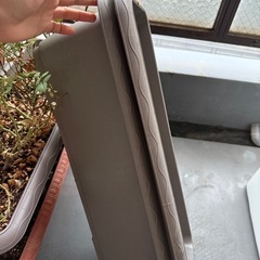 プランターの画像