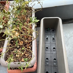 プランターの画像