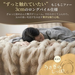 【新品】高級毛布 2枚合わせ ラビットファー　2枚合わせの画像