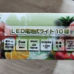 LEDライト　バッテリーライト10球 レモンライトゴールド球の画像