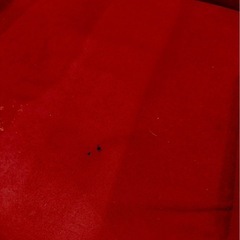 ひとりがけ椅子の画像