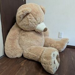 コストコのクマのぬいぐるみ の画像