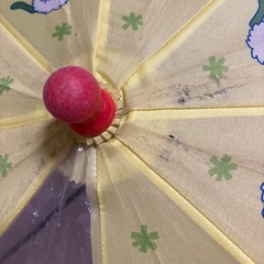 遊び倒したわんわんの画像