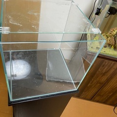 コトブキ　30㎝キューブ水槽と水槽台の画像