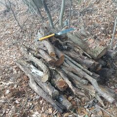 （訳あり用材）★★薪（焚き木）用材／広葉樹『ニセアカシア（ハリエンジュ）』／枝木材・半端材★★の画像