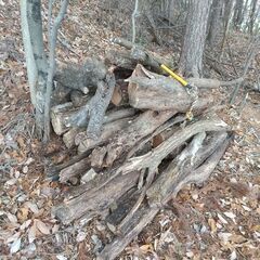 （訳あり用材）★★薪（焚き木）用材／広葉樹『ニセアカシア（ハリエンジュ）』／枝木材・半端材★★の画像