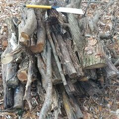 （訳あり用材）★★薪（焚き木）用材／広葉樹『ニセアカシア（ハリエンジュ）』／枝木材・半端材★★の画像