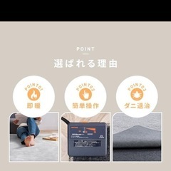 ホットカーペットの画像