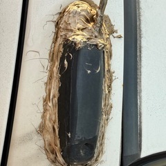 車検あり　ダイハツ　ミラの画像