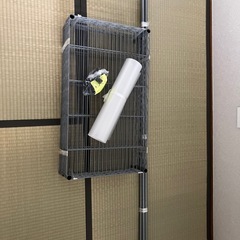 急募 下敷き付きシルバーラックの画像