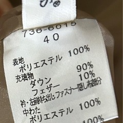 ロングダウンの画像