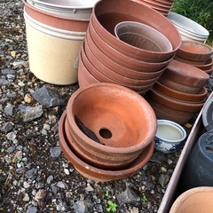 植木鉢の画像