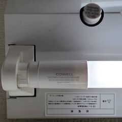 LED電球　COWWELL　１５本セットの画像