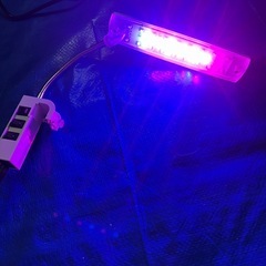 GEXライトの画像