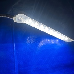 GEXライトの画像