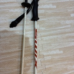 スキー　ストックの画像