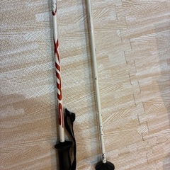 スキー　ストックの画像