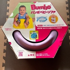 【さしあげます】バンボ　パープル🟣　の画像