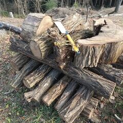 （軽トラ荷台満載積）★★薪（焚き木）用材／広葉樹『ニセアカシア（ハリエンジュ）』／枝木材・半端材★★の画像