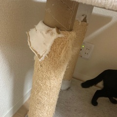 大型キャットタワー(高さ180cm)の画像