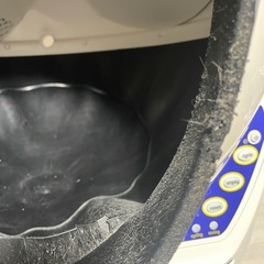 猫用自動トイレの画像