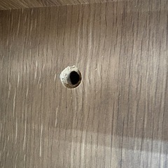 【ドリーム川西店限定】☆ジモティー見たよ割引☆ フリーラック クリーニング済み 【2125560000043523】の画像