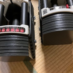 ブロックダンベル　可変式ダンベル　41kg×2の画像