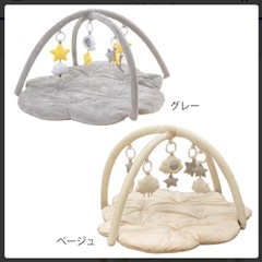 プレイジムマットの画像