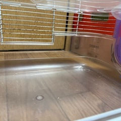 ハムスターケージの画像