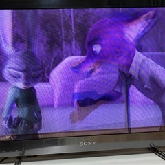 SONY テレビの画像
