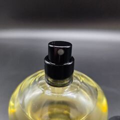 diptyque Satin Oil 100ml ボディとヘア用の画像