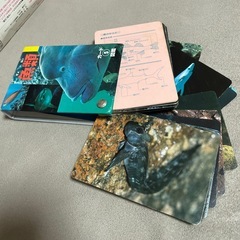 魚類百科事典　カード図鑑の画像