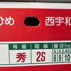 愛媛県産と熊本県産蜜柑1箱10kgの画像