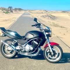 カワサキ、バリオス250の画像