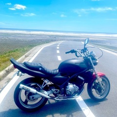 カワサキ、バリオス250の画像