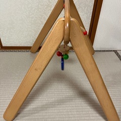 セレクタ社　ムジーナの画像